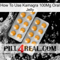 How To Use Kamagra 100Mg Oral Jelly levitra2